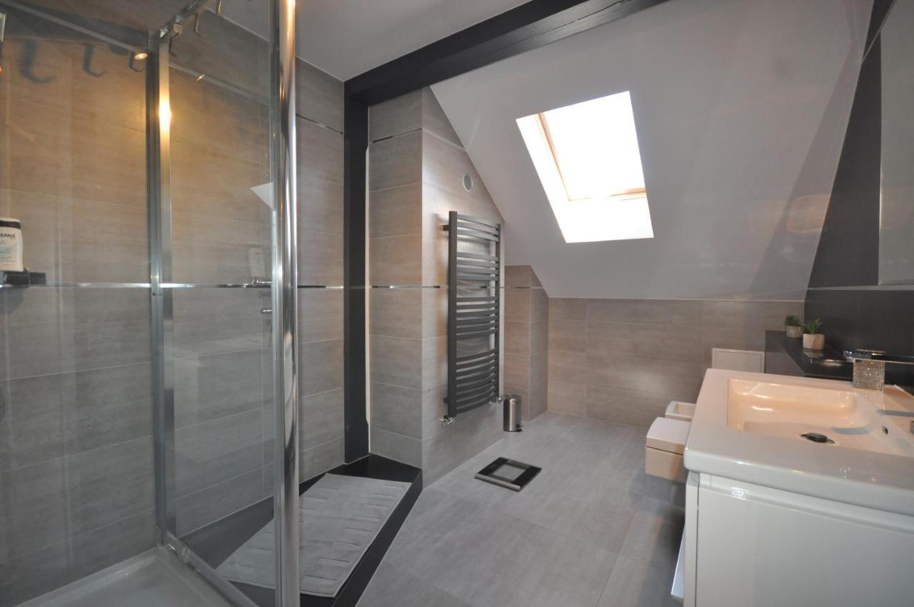 Appartement Apartament Widok Na Karkonosze à Jezow Sudecki Extérieur photo