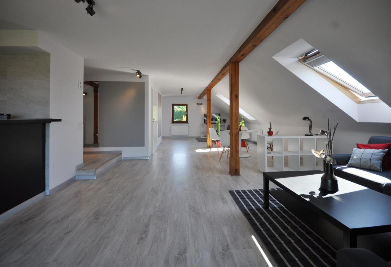 Appartement Apartament Widok Na Karkonosze à Jezow Sudecki Extérieur photo