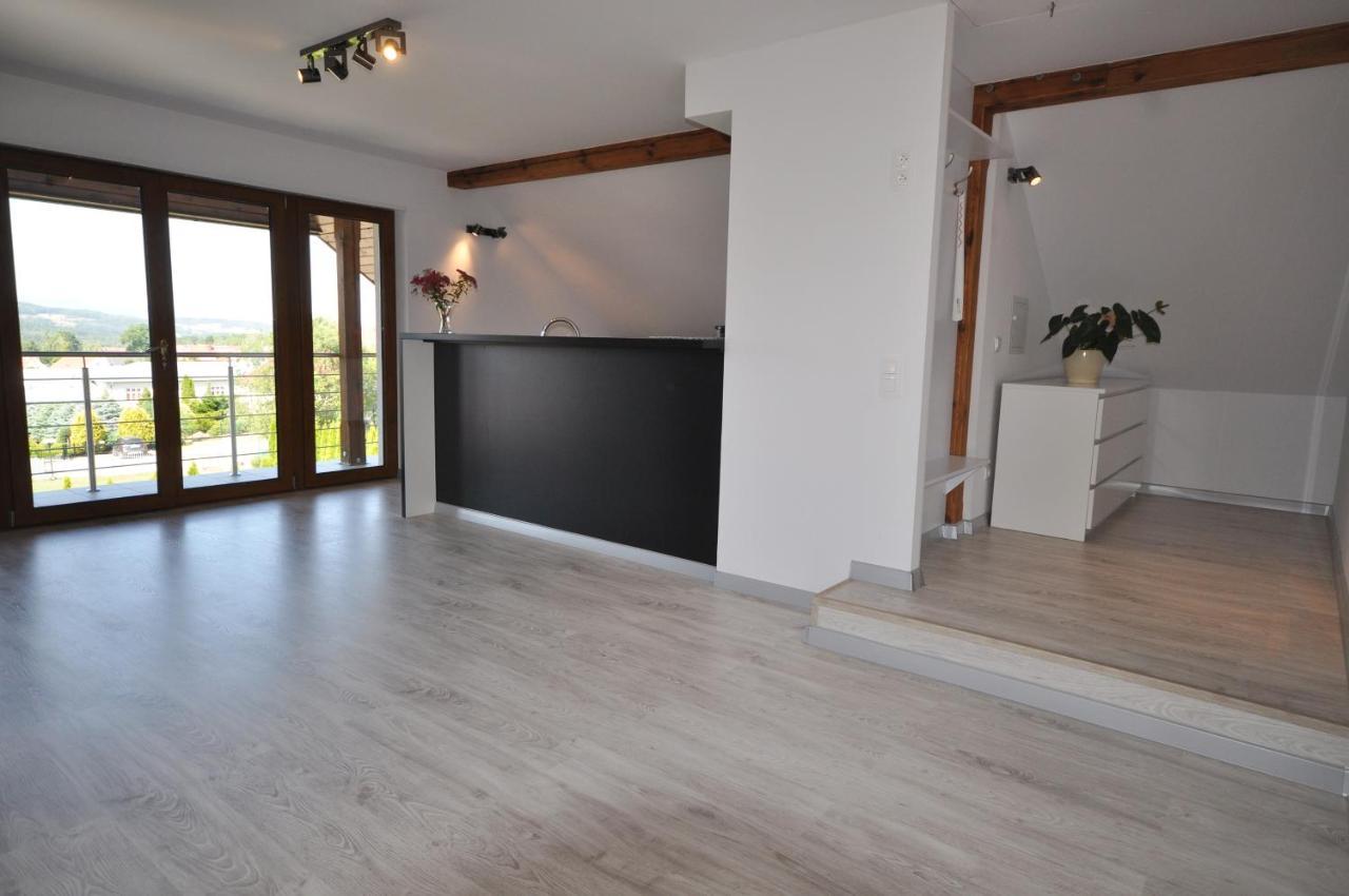 Appartement Apartament Widok Na Karkonosze à Jezow Sudecki Extérieur photo