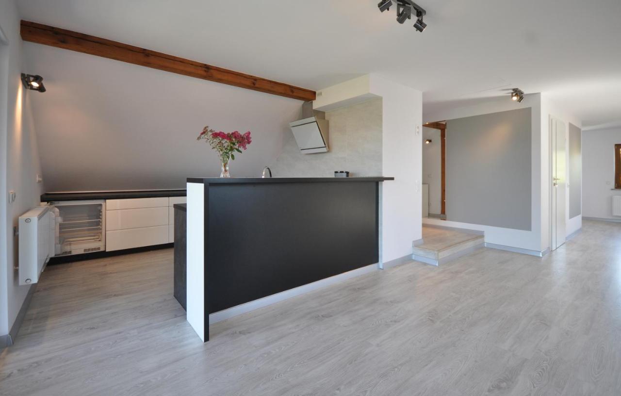 Appartement Apartament Widok Na Karkonosze à Jezow Sudecki Extérieur photo