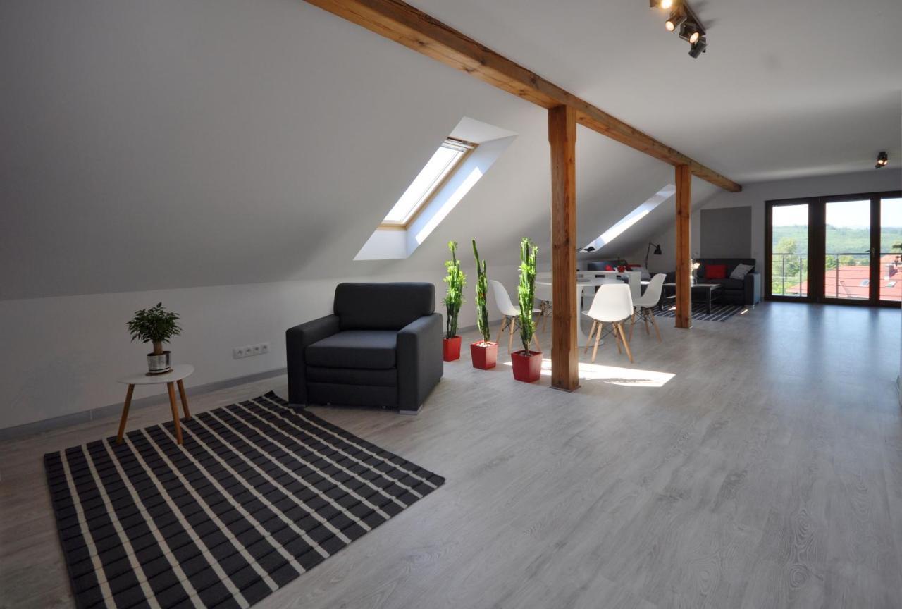 Appartement Apartament Widok Na Karkonosze à Jezow Sudecki Extérieur photo
