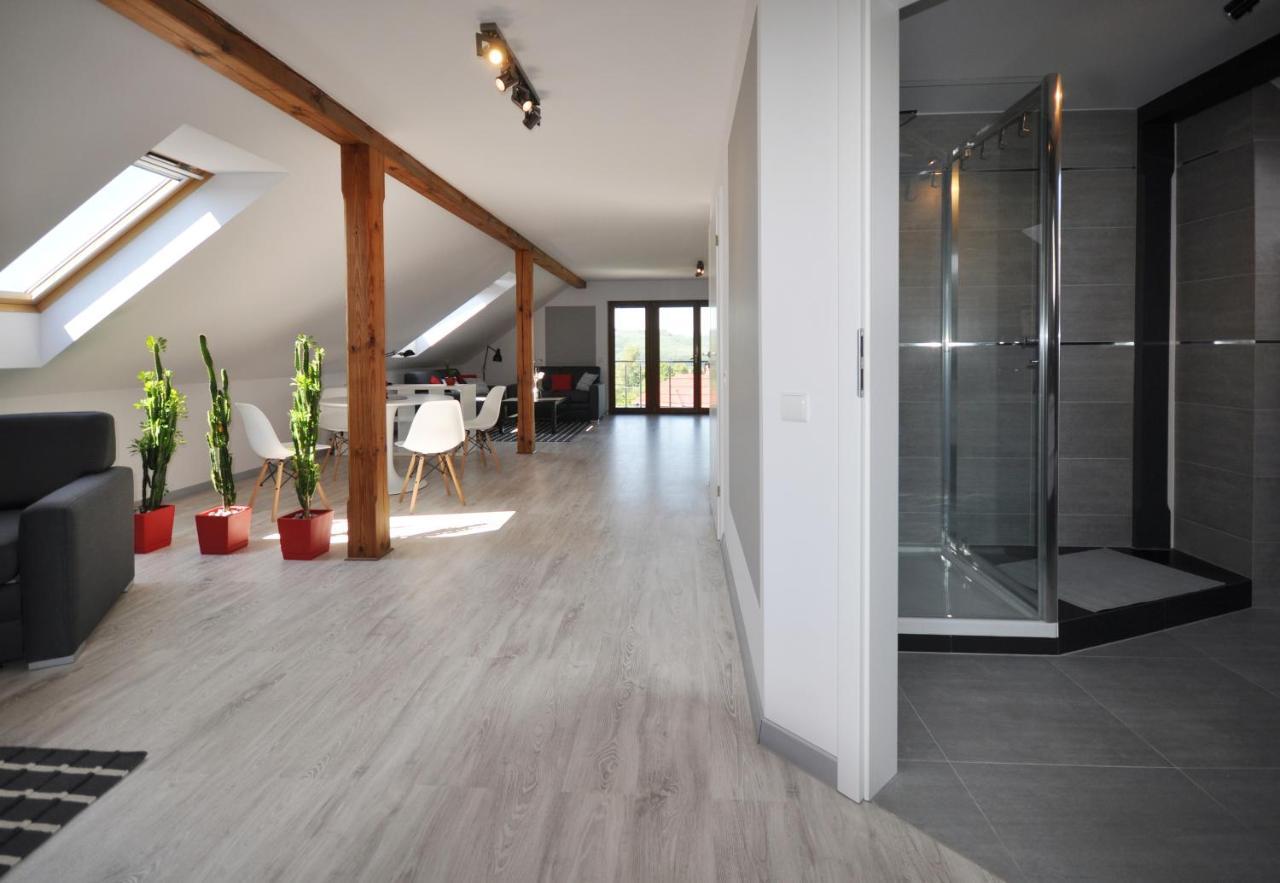 Appartement Apartament Widok Na Karkonosze à Jezow Sudecki Extérieur photo